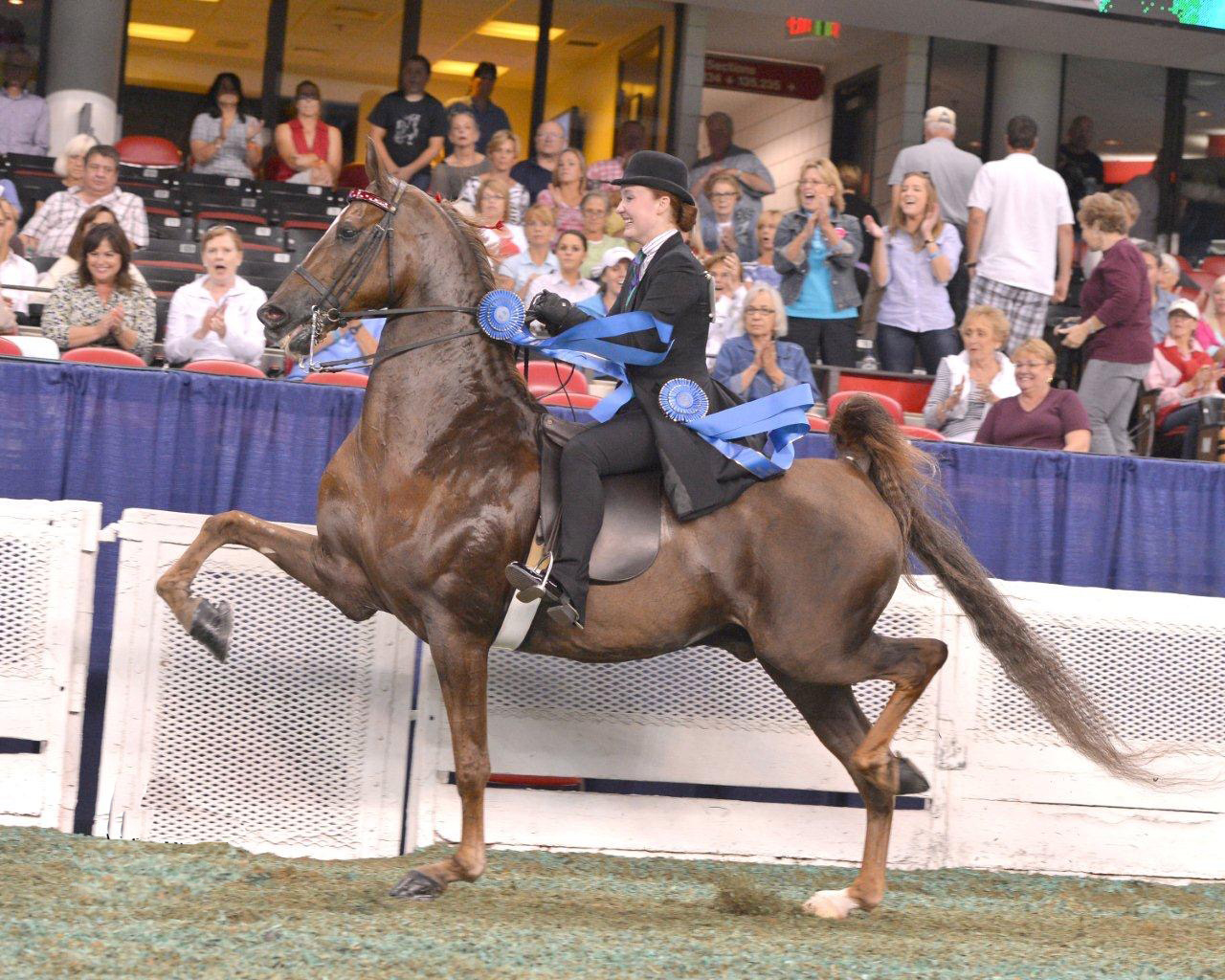 A Story-Book Ending and an Idiot Dad